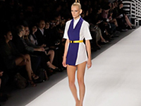 Davidelfin NY SS 2011 ShowR