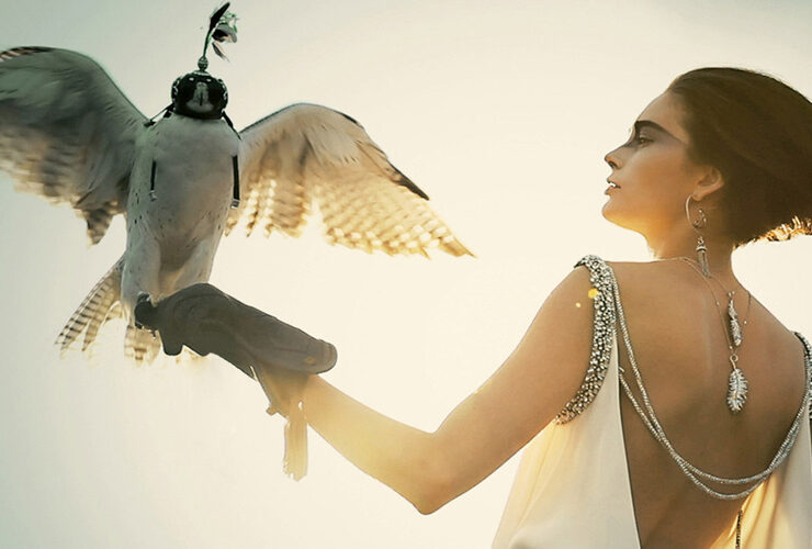 Voyage issue trailer new