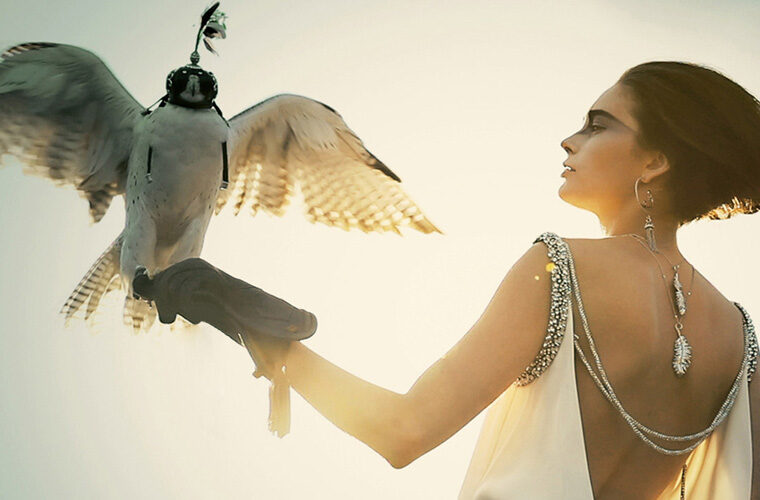 Voyage issue trailer new