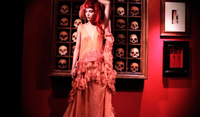 butterflycollector 1