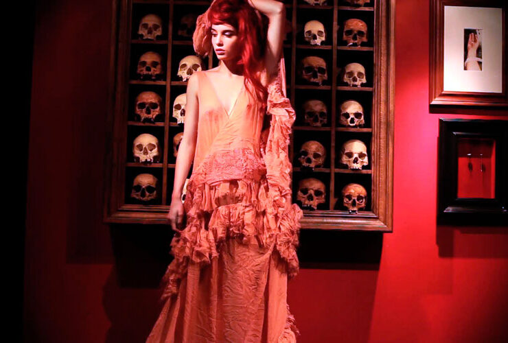 butterflycollector 1