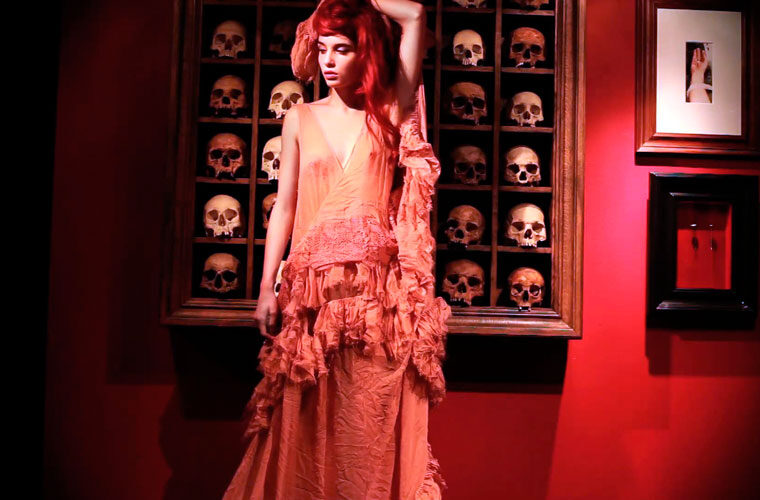 butterflycollector 1