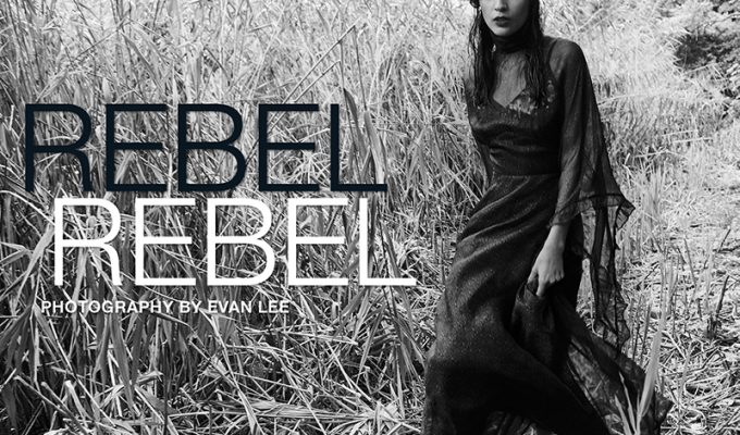 FEATURED IMG SMALL REBEL REBEL