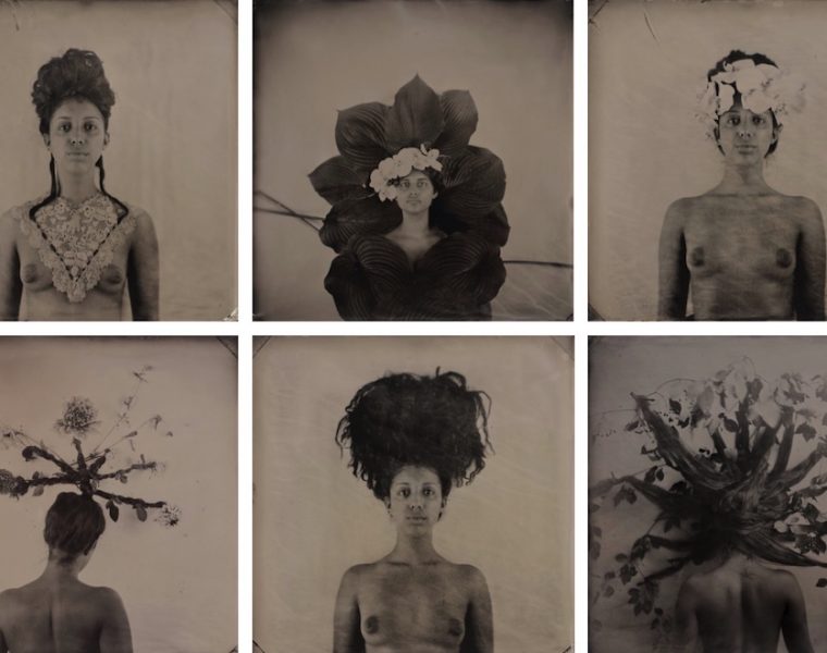 hair portraits preview email size