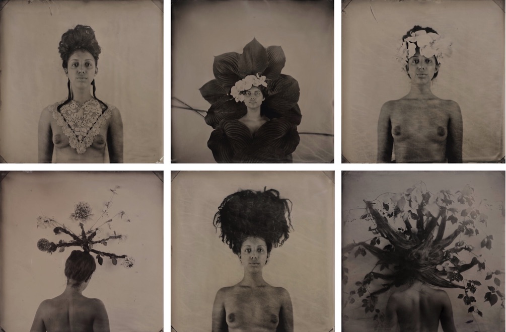 hair portraits preview email size