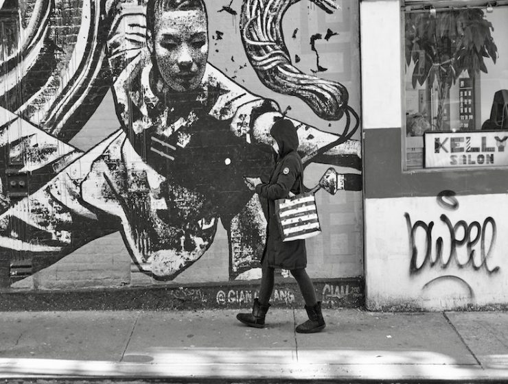 49566647416 053a6e8d3d k