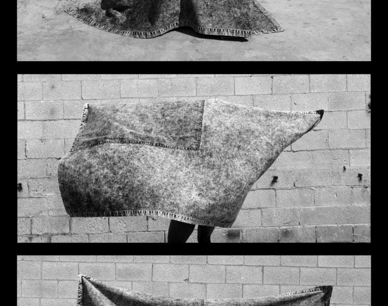 TheMet Feature