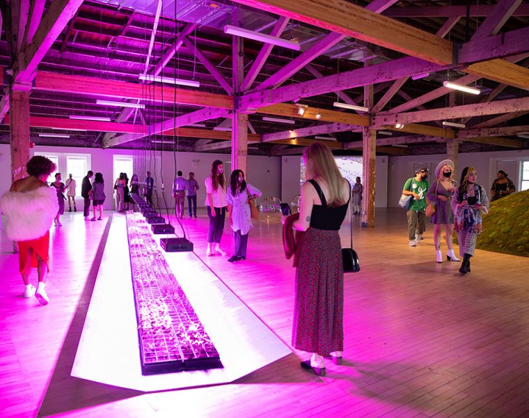 LMCC UGG EVENT