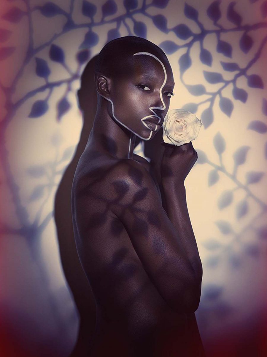 IndiraCesarine TheLabyrinth IyannaandtheLeavesNo2