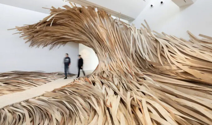 Website image for Striped Canary Proposal for a Future Forest, 2023.