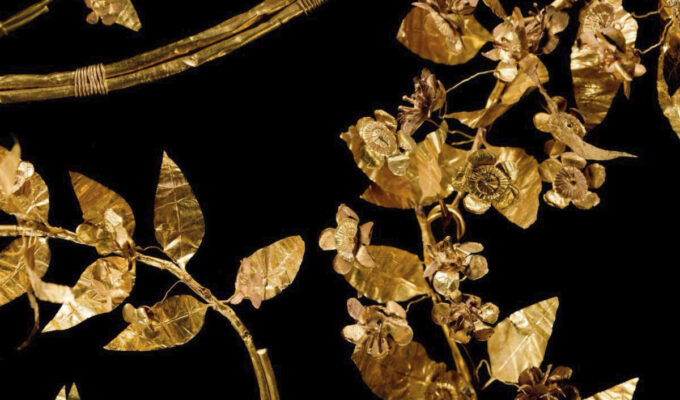 Image 17 10 2024 a 13.08 1