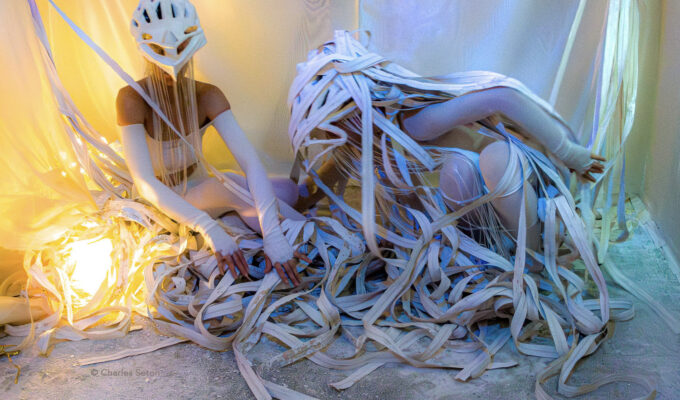 IMG 2947 Enhanced NR 2 © 1500