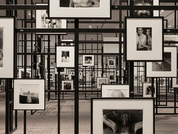 DianeArbusConstellation1