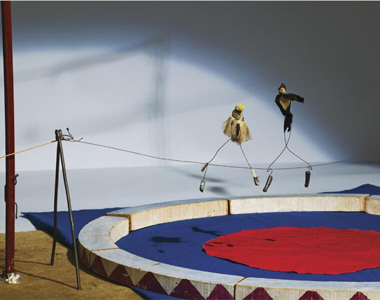 High Wire Calders Circus Feautred Image 1