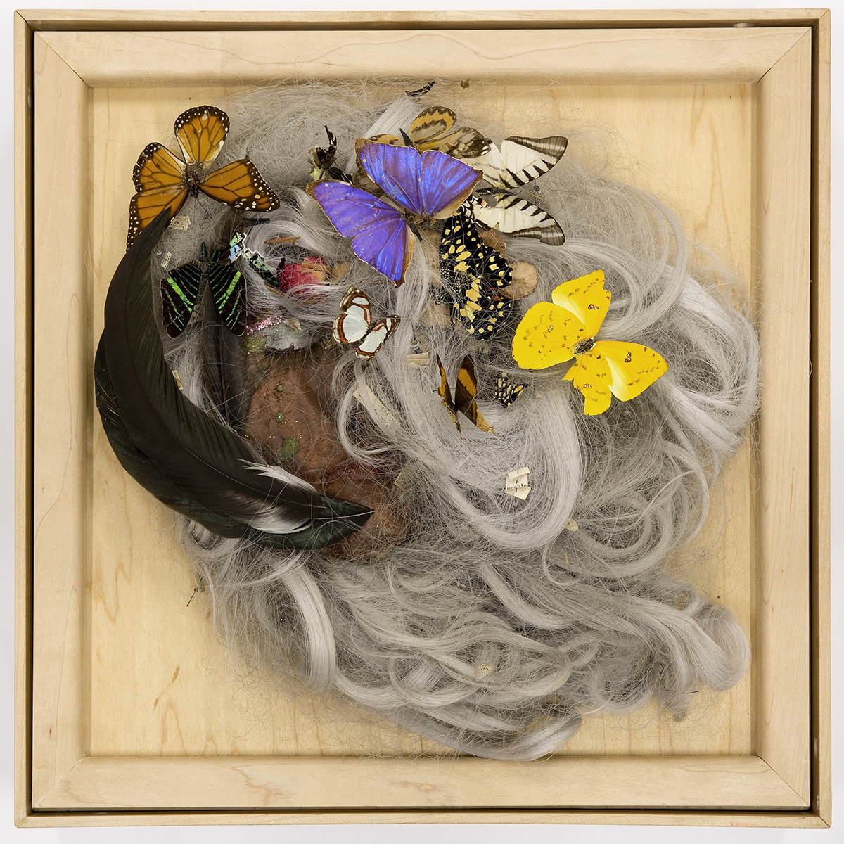 WMAA88771 HershmanLeesonL ButterflyWoman 1967 1 hpr