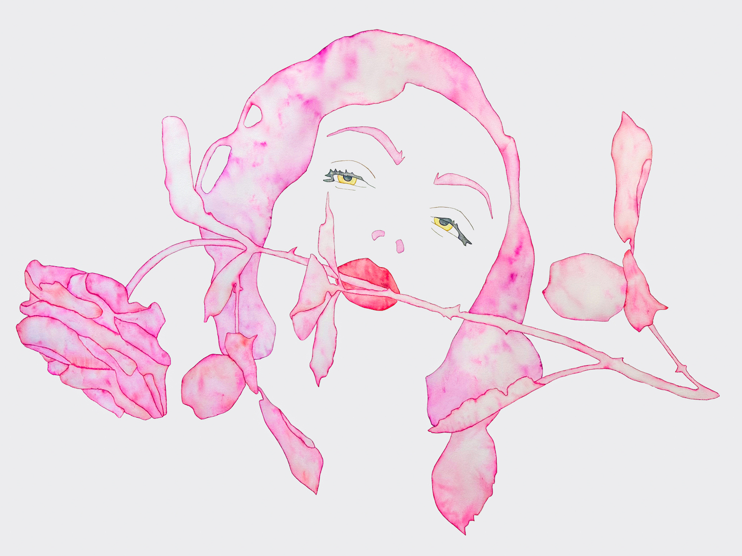 helena calmfors softness 2024 42x31 2