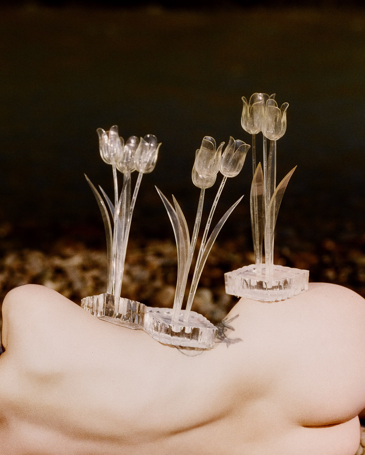 Tania Shcheglova Synchrotania 001 2 12 x 15in TheUntitledSpace