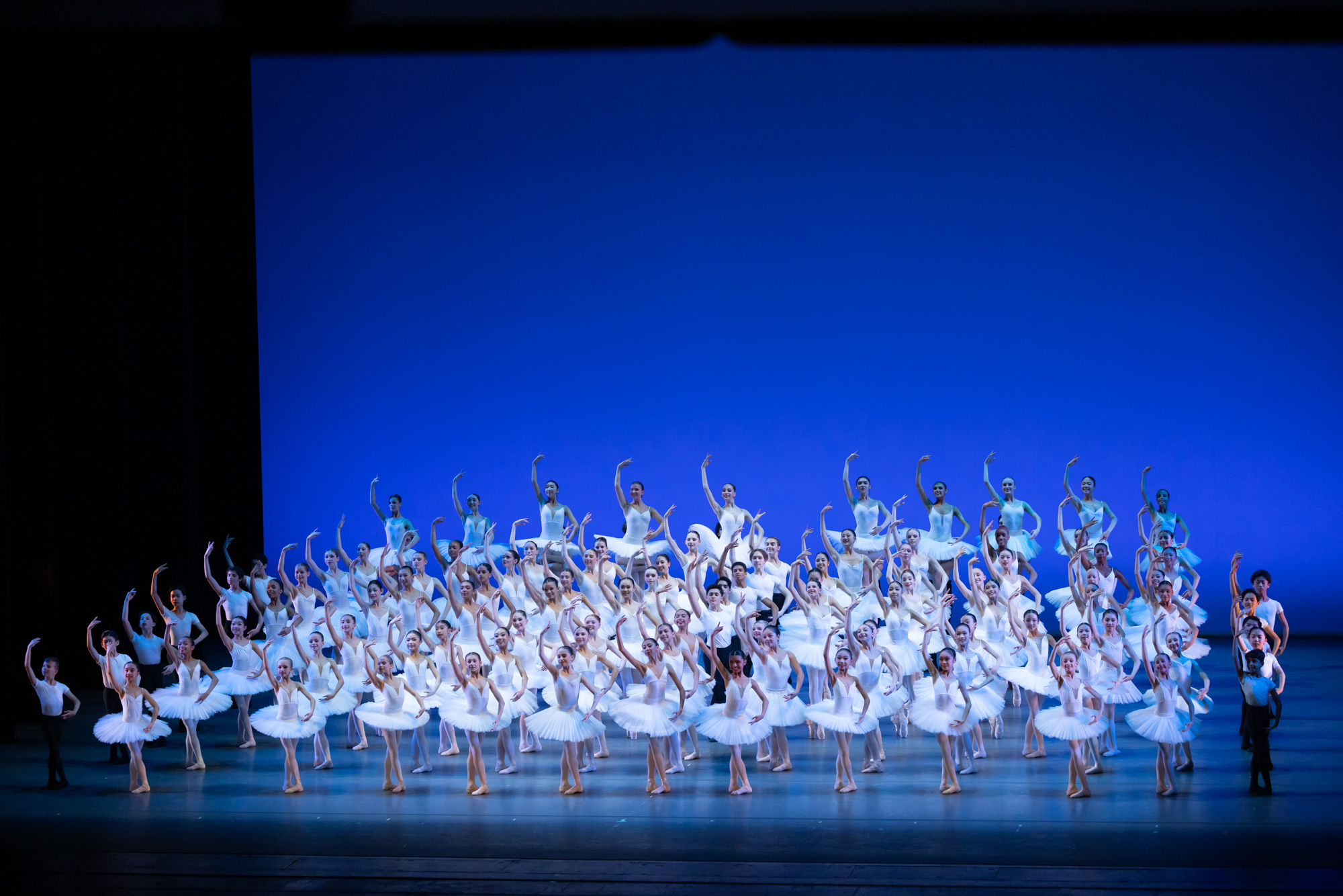 YAGP 01 PIECE DOCCASION Luke Kwo LK Studio 7213